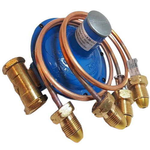 [0640] REGULADOR CABEZAL C/2 FLEXIBLES (P/45 KG) "PAZ"